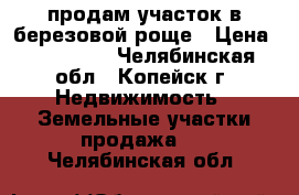 продам участок в березовой роще › Цена ­ 400 000 - Челябинская обл., Копейск г. Недвижимость » Земельные участки продажа   . Челябинская обл.